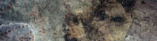 Arte Paleolítico  (40.000 - 10.000  BP)