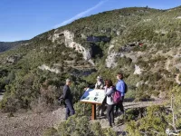 Ruta Arpan 7