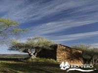 Construcciones Agricolas Ganaderas 2