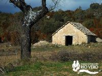 Construcciones Agricolas Ganaderas 1