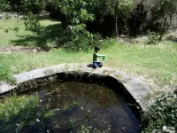 A Agua Fuentes 5