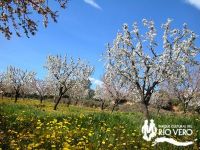 Paisaje Mediterraneo 6