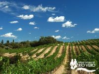 Paisaje Mediterraneo 7