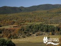 Selva Almazorre 2