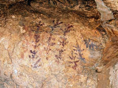 Signos ramiformes o árboles en Mallata B