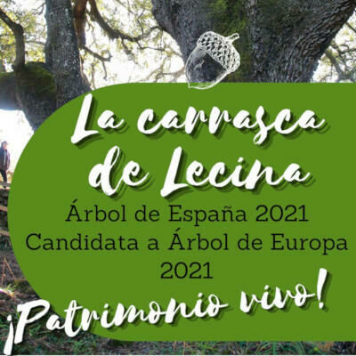 thumb folleto carrasca21 400