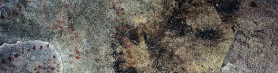 Paleolithic Art  (40,000 B.C.E. – 10,000  B.C.E.)