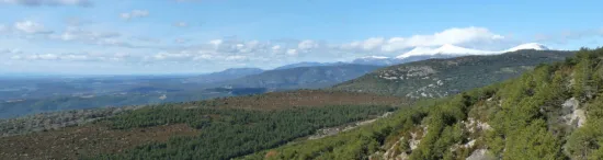 Naturaleza del Parque Cultural