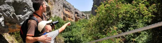 Footbridges Route