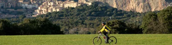 Randonnées en VTT