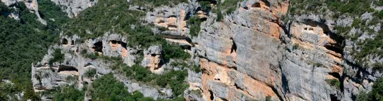 Gallinero Shelters