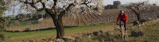 Ruta Alquézar-Buera-Colungo